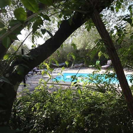 Tikal Boungalows Hotel Malcocinado  Luaran gambar