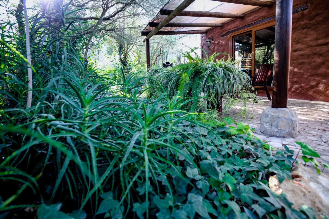 Tikal Boungalows Hotel Malcocinado  Luaran gambar